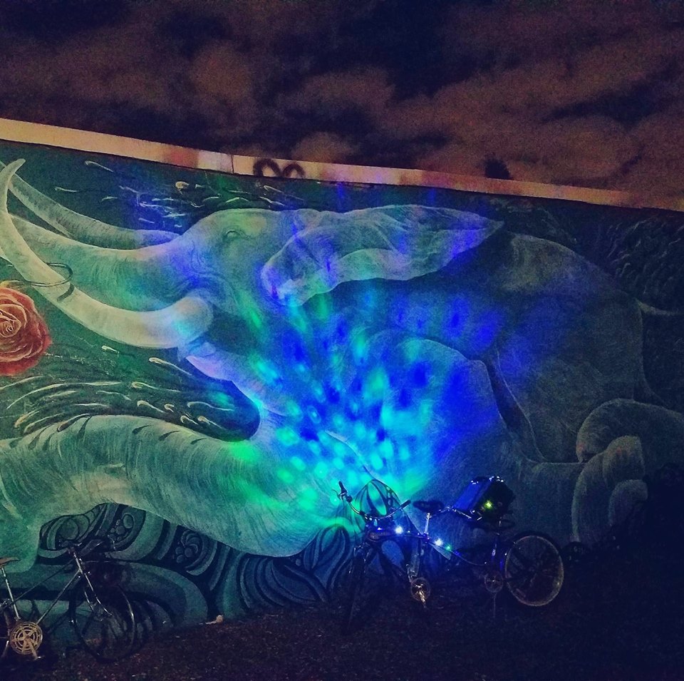 elephant-mural-night-shot