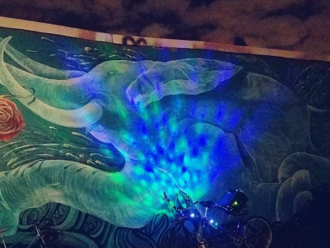 elephant-mural-night-shot