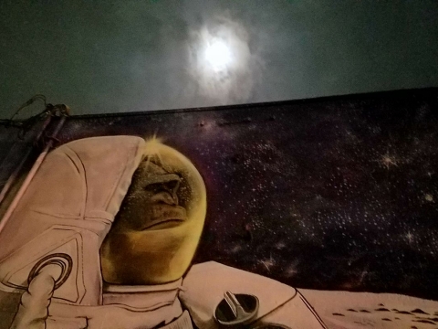 monkey-mural-2